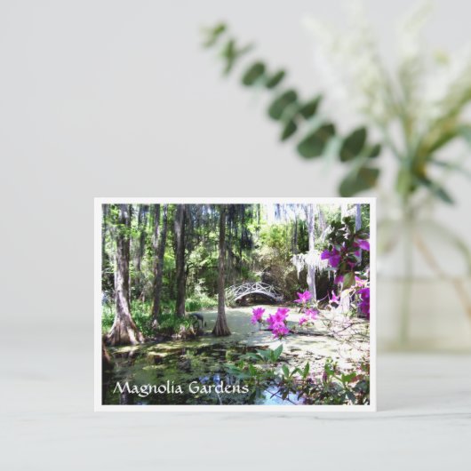 Magnolia Plantagengarten Charleston SC Postcard Postkarte (Stehend Vorderseite)