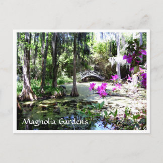 Magnolia Plantagengarten Charleston SC Postcard Postkarte