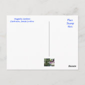 Magnolia Plantagengarten Charleston SC Postcard Postkarte (Rückseite)