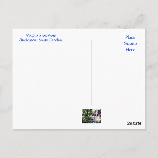 Magnolia Plantagengarten Charleston SC Postcard Postkarte (Rückseite)