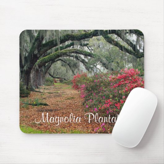 Magnolia Plantation / Charleston SC Mousepad (Mit Mouse)