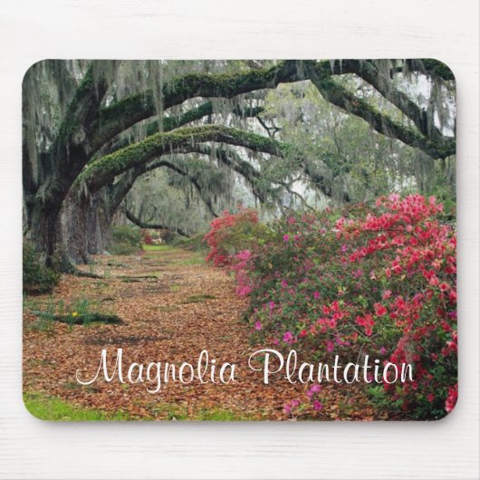 Magnolia Plantation / Charleston SC Mousepad (Vorne)