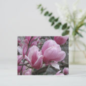Magnolia Postcard Postkarte (Stehend Vorderseite)