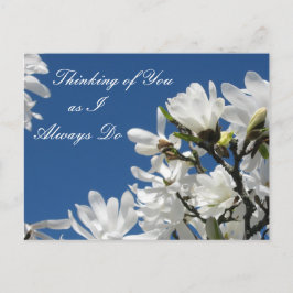 Magnolia Postcard Postkarte