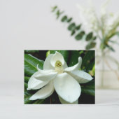 Magnolia Postcard Postkarte (Stehend Vorderseite)