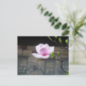 MAGNOLIA POSTCARD POSTKARTE (Stehend Vorderseite)