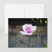 MAGNOLIA POSTCARD POSTKARTE (Vorne/Hinten)