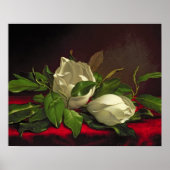 Magnolia Poster (Vorne)