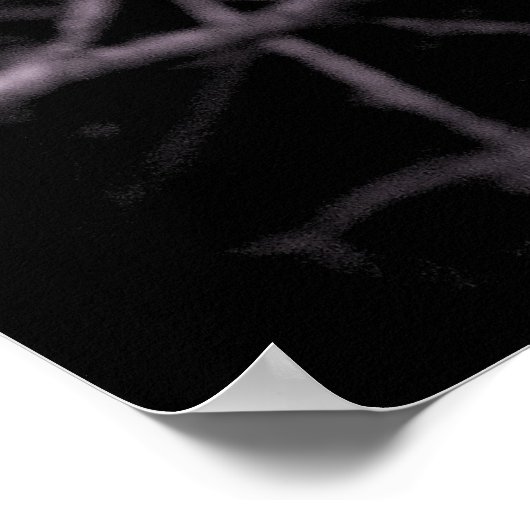 Magnolia Poster (Ecke)