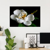 Magnolia Poster (Heimbüro)