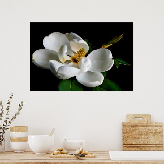 Magnolia Poster (Küche)