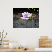 MAGNOLIA POSTER (Küche)