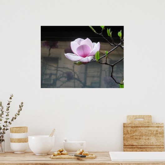MAGNOLIA POSTER (Küche)