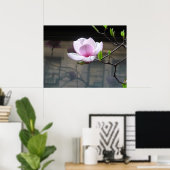 MAGNOLIA POSTER (Heimbüro)
