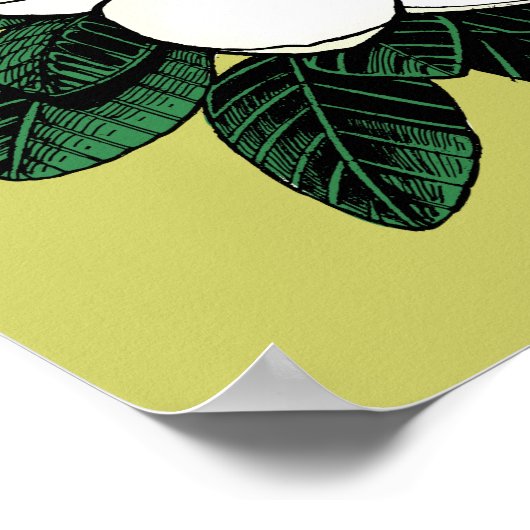 Magnolia-Poster Poster (Ecke)