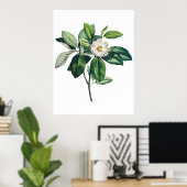 Magnolia-Poster Poster (Heimbüro)