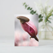 Magnolia Postkarte (Stehend Vorderseite)