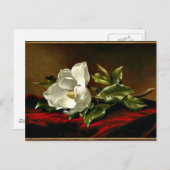 Magnolia Postkarte (Vorne/Hinten)