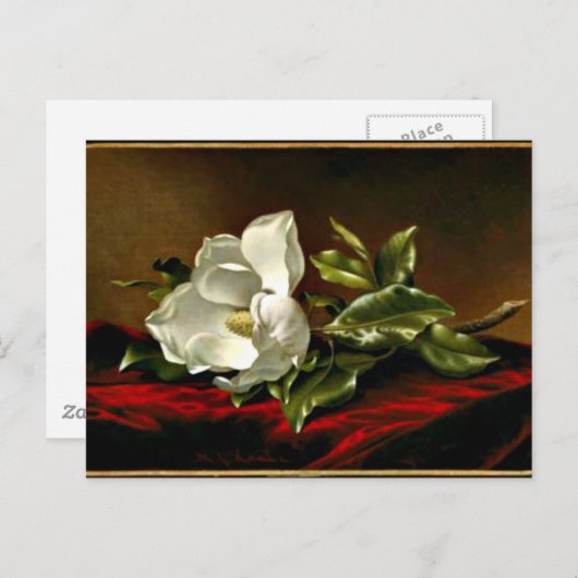 Magnolia Postkarte (Vorne/Hinten)