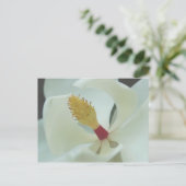 Magnolia Postkarte (Stehend Vorderseite)