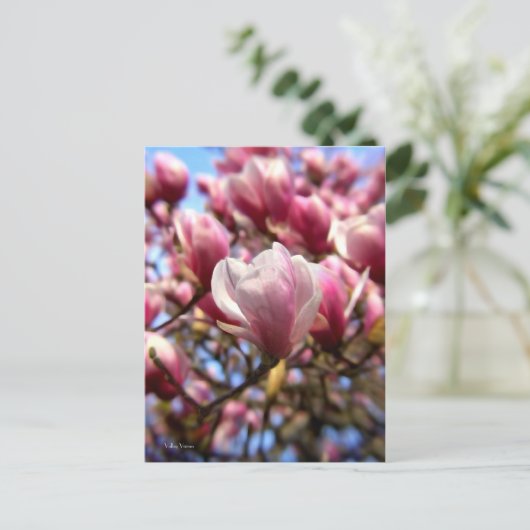 Magnolia Postkarte (Stehend Vorderseite)
