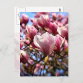 Magnolia Postkarte (Vorne/Hinten)
