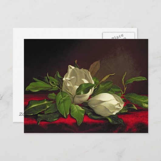 Magnolia Postkarte (Vorne/Hinten)