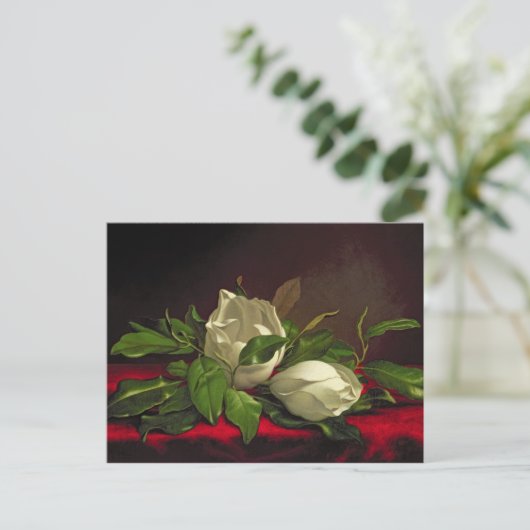 Magnolia Postkarte (Stehend Vorderseite)