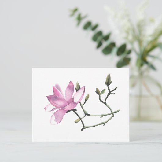 Magnolia Postkarte (Stehend Vorderseite)