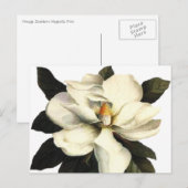 Magnolia Postkarte (Vorne/Hinten)