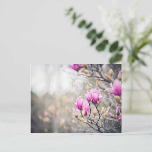 Magnolia Postkarte (Stehend Vorderseite)