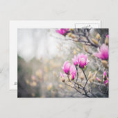 Magnolia Postkarte (Vorne/Hinten)