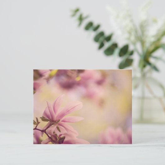 Magnolia Postkarte (Stehend Vorderseite)