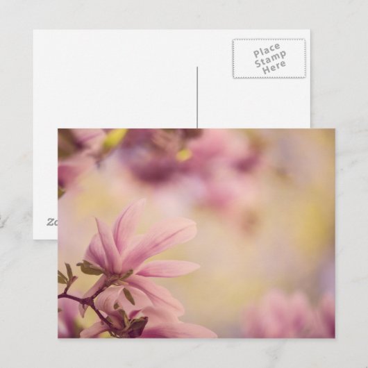 Magnolia Postkarte (Vorne/Hinten)