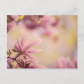 Magnolia Postkarte (Vorderseite)