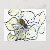 Magnolia Postkarte (Vorderseite)