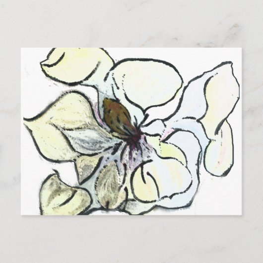 Magnolia Postkarte (Vorderseite)
