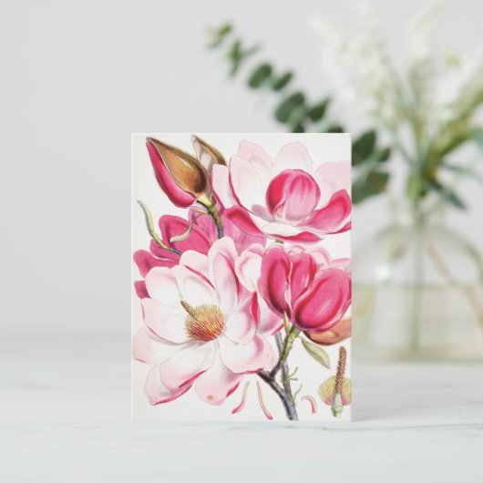 Magnolia Postkarte (Stehend Vorderseite)
