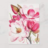 Magnolia Postkarte (Vorderseite)