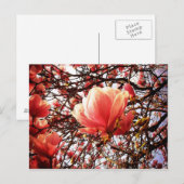 Magnolia Postkarte (Vorne/Hinten)
