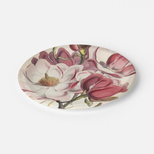 Magnolia - Sammlung Botanicals Pappteller (Schrägansicht)