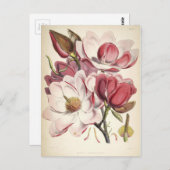 Magnolia - Sammlung Botanicals Postkarte (Vorne/Hinten)