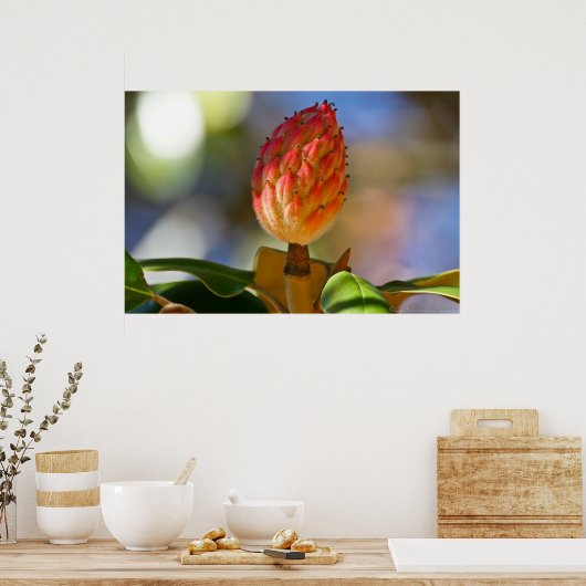 Magnolia Seed Pod Herbst Poster (Küche)