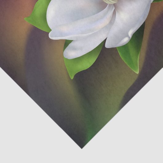 Magnolia Seidenpapier (Ausschnitt)