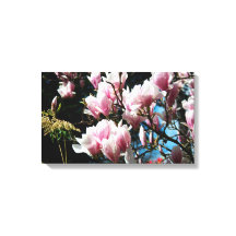Magnolia Spring Floral Fotografie Leinwand 6