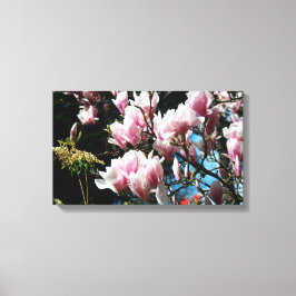 Magnolia Spring Floral Fotografie Leinwand 6