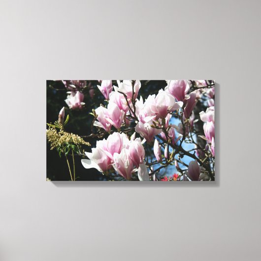 Magnolia Spring Floral Fotografie Leinwand 6 (Vorderseite)
