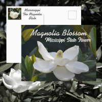 Magnolia Staat Mississippi Floral Fotografie