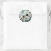 Magnolia Stellata Umschlag Aufkleber Sticker (Tasche)