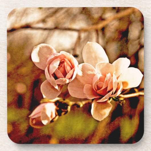 Magnolia-Stimmung in Rosa Getränkeuntersetzer (Vorderseite)